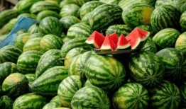 陇西网红吃瓜事件真相是真的吗,真相揭秘，还原事件始末