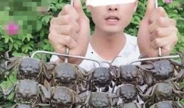 陇西网红吃瓜事件真相是真的吗,真相揭秘，还原事件始末