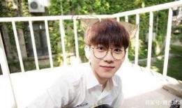 王子直播爆料是真的吗视频,真相揭秘，视频内容真实性分析